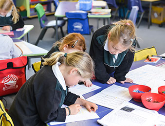 Hauraki Students working