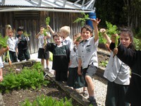 Hauraki School Enviro Group